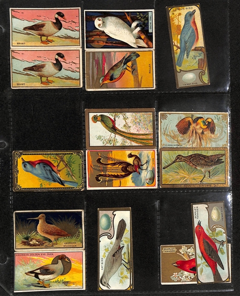 Lot of (109) Early 1900s Tobacco Non-Sport Cards - Various Subjects - Women, Places, Flags, Fish, Birds